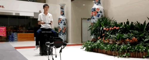 王兴兴:斗狗(图17) 王兴兴:斗狗(图17)