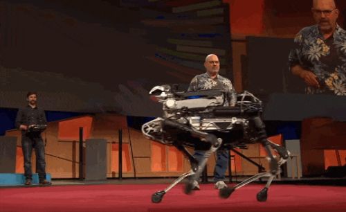 王兴兴:斗狗(图19) 王兴兴:斗狗(图19)