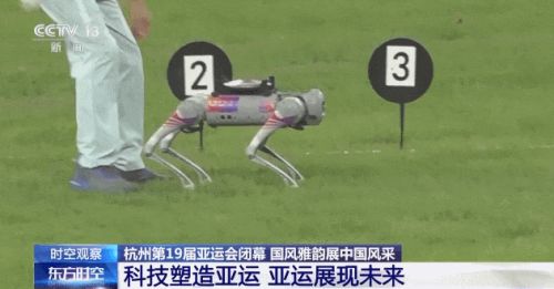 王兴兴:斗狗(图21) 王兴兴:斗狗(图21)