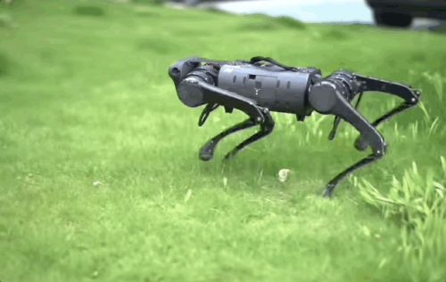 王兴兴:斗狗(图26) 王兴兴:斗狗(图26)