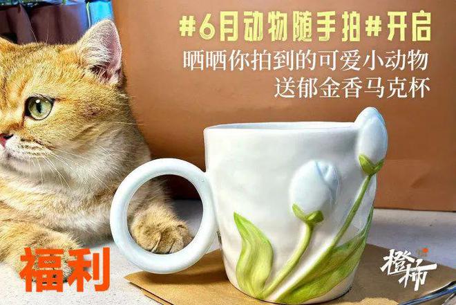 留言分享你印象最深的影视剧配乐送日本陶笛大师宗次郎音乐会门票丨橙柿福利(图7)