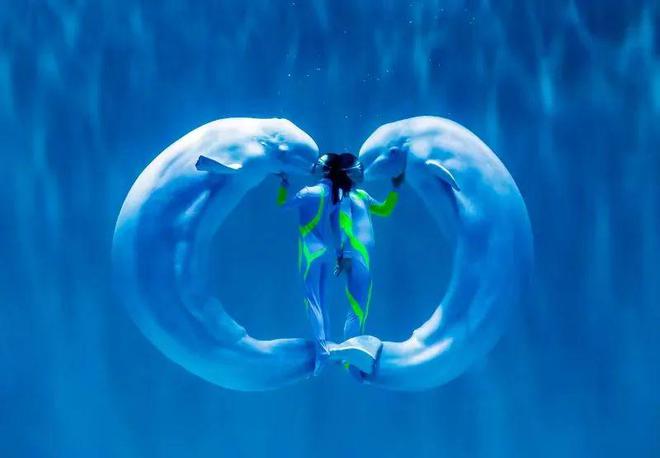 必威【@所有人】邀您关注:“大美龙江 无法不美”旅游普法活动(学法送票——走进哈尔滨)有奖答题即将开始!(图6) 必威【@所有人】邀您关注:“大美龙江 无法不美”旅游普法活动(学法送票——走进哈尔滨)有奖答题即将开始!(图6)