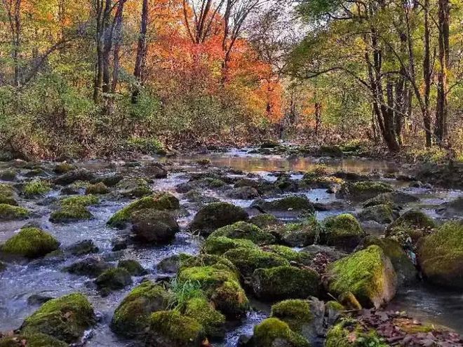 必威【@所有人】邀您关注:“大美龙江 无法不美”旅游普法活动(学法送票——走进哈尔滨)有奖答题即将开始!(图10) 必威【@所有人】邀您关注:“大美龙江 无法不美”旅游普法活动(学法送票——走进哈尔滨)有奖答题即将开始!(图10)