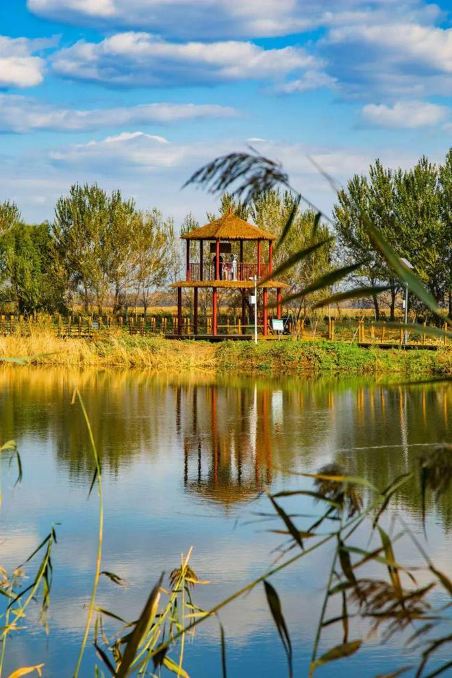 必威【@所有人】邀您关注:“大美龙江 无法不美”旅游普法活动(学法送票——走进哈尔滨)有奖答题即将开始!(图14) 必威【@所有人】邀您关注:“大美龙江 无法不美”旅游普法活动(学法送票——走进哈尔滨)有奖答题即将开始!(图14)