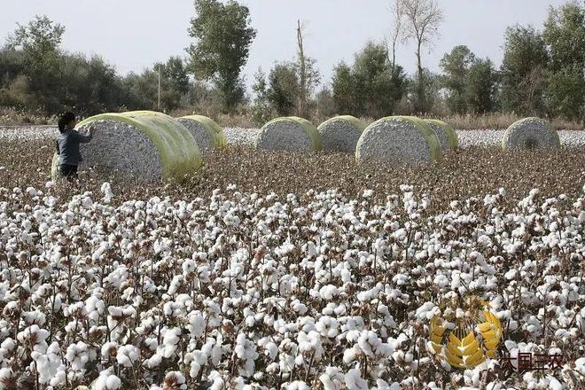 尿素袋你还是太全面了！(图5)