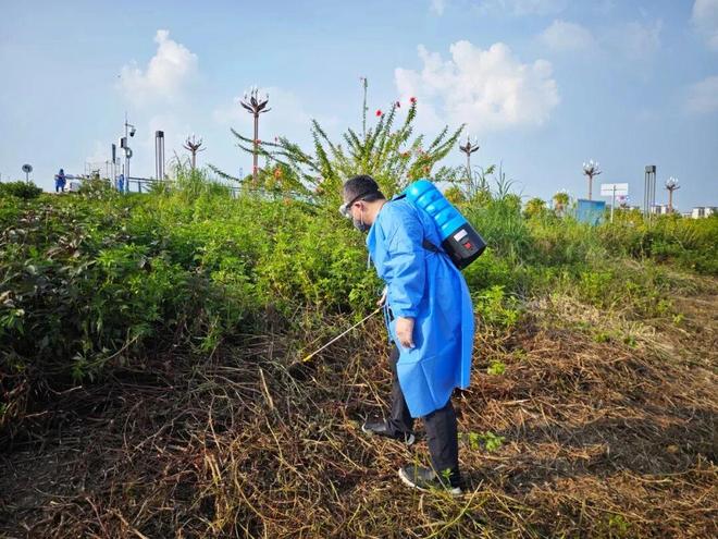 全面消杀、依法查处……肇庆“灭蚊大作战”持续进行中！(图5)
