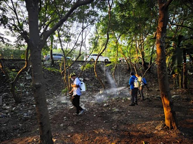 全面消杀、依法查处……肇庆“灭蚊大作战”持续进行中！(图6)