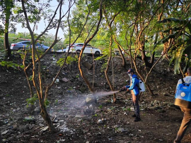 全面消杀、依法查处……肇庆“灭蚊大作战”持续进行中！(图7)