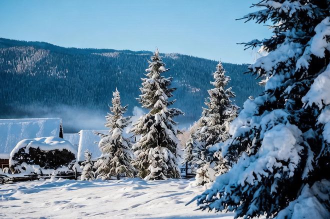 本月伊犁旅行社8大优选方案权威发布!实测数据验证体验感飙升(图3) 本月伊犁旅行社8大优选方案权威发布!实测数据验证体验感飙升(图3)